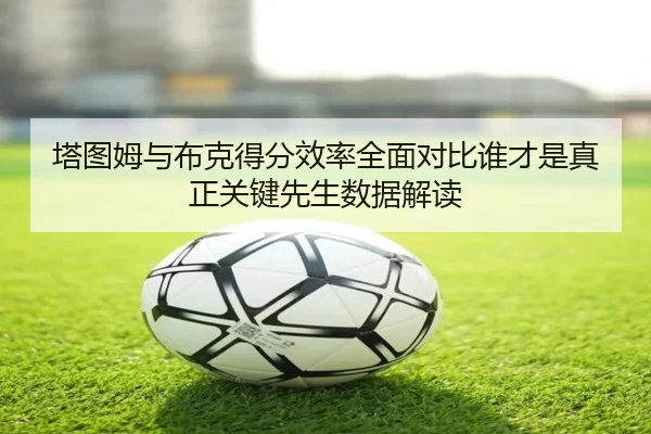 img_1779684569451_91_1_986.jpg