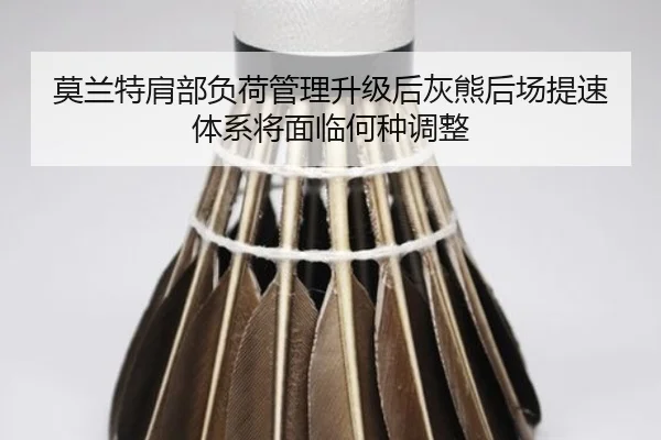 莫兰特肩部负荷管理升级后灰熊后场提速体系将面临何种调整